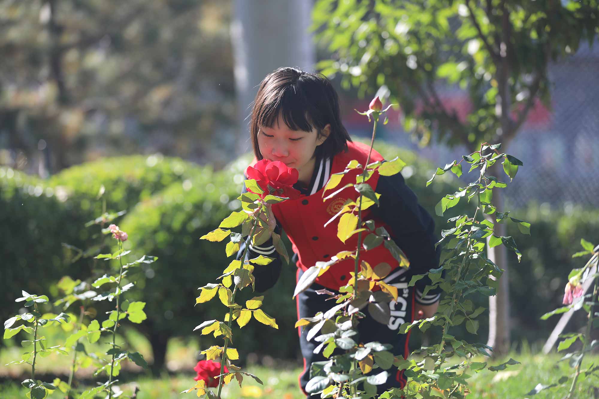 5校园四季-春.jpg