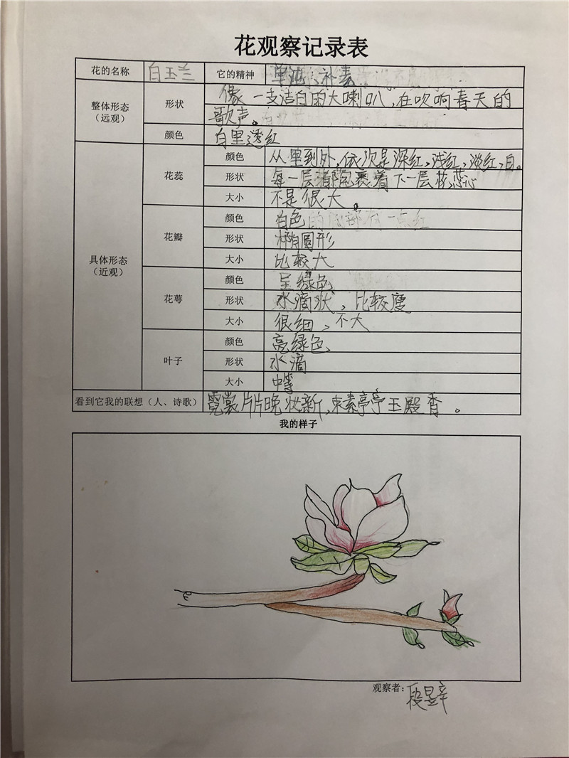 图片2花卉观察记录手绘.jpg