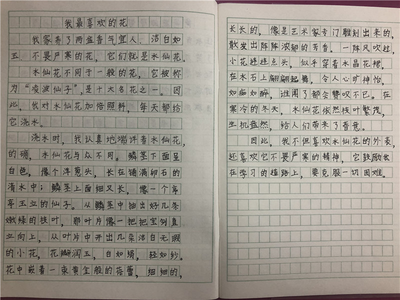 图片6学生习作2.jpg