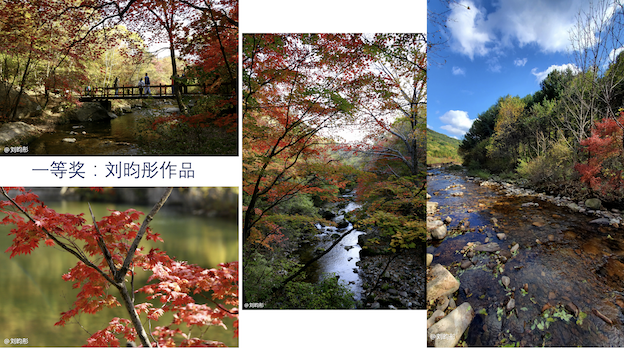 QQ20201113-145457@2x.png